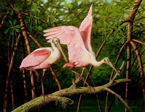 Love This Art Ernest C Simmons Florida Wildlife Artist Wildlife