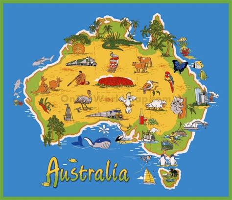 an illustrated map of australia with all the different animals