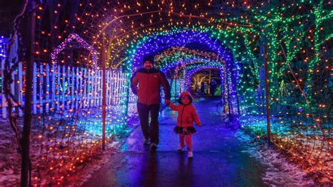 Brookside Gardens’ Winter Light Exhibit, Garden of Lights, Is Now Open ...