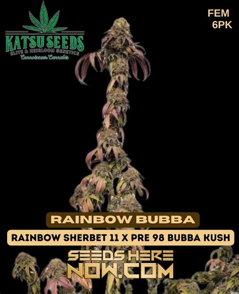 Order Rainbow Bubba Feminized Seeds Top Shelf Genetics