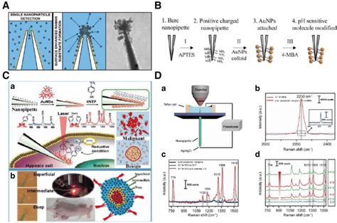 The Application Of Single Cell Plasmonic Analysis Based On Quartz