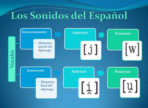 FonÉtica AcÚstica FonÉtica Y FonologÍa