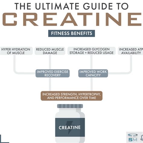 Cuanta Creatina Tomar Resolviendo Las Dudas M S Comunes Sobre La