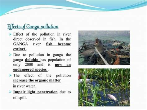 Solution To The Pollution In River Ganga by Sabrina Alpers - Issuu