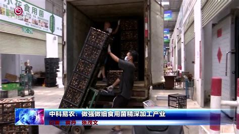 中科易农：做强做细食用菌精深加工产业腾讯视频