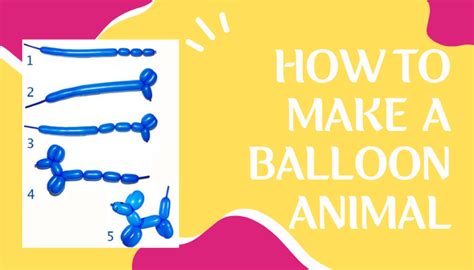 How To Make Balloon Animals A Basic Guide Balloonaversal