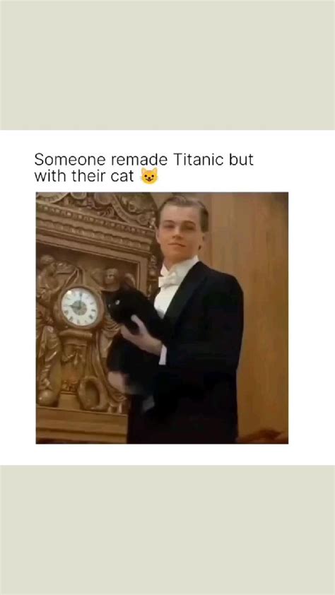 Titanic With Cat from owl_kitty on IG | Funny cats, Cat memes, Really funny joke