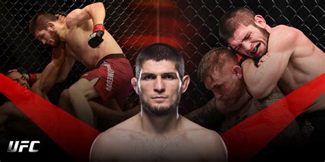 Khabib Picks Next Fight For Umar Nurmagomedov Sean OMalley Or Merab