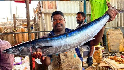 Kasimedu Speed Selvam Big Size Ara Kola Fish Cutting In Kasimedu