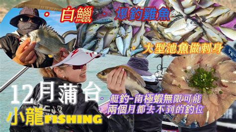 小龍fishing132 蒲台南艇爆釣日滿滿的雞魚青鱸白鱲＆巨型池魚刺身 Fishing0118 Youtube