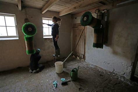 Bei der Arbeit Ställe reinigen und Wände kalken Kuhaltersheim Hof