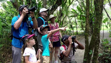 Arenal Volcano Hiking Experience Eagle Tours