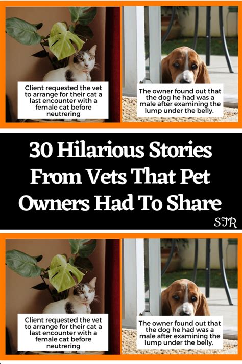 30 hilarious stories from vets that pet owners had to share – Artofit