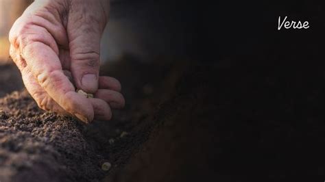 Church Preaching Slide The Parable Of The Sower