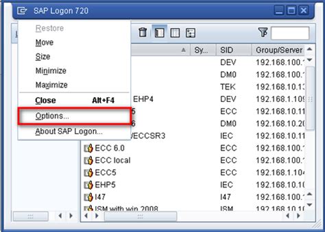 How To Install Sap Logon Ini File Opmclock