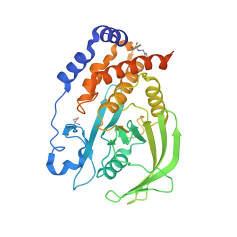 Rcsb Pdb Qfc Pandda Analysis Group Deposition Crystal Structure