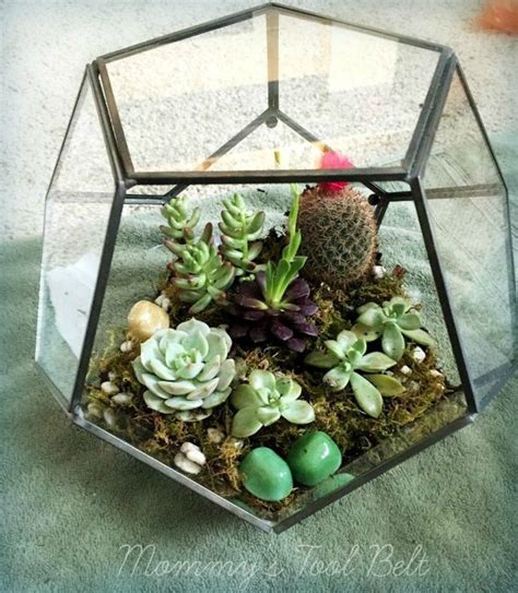 21 Of The Cutest Terrariums Weve Ever Seen Hometalk