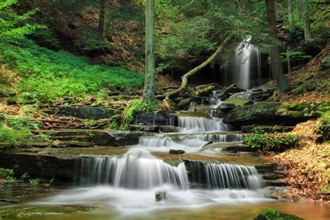 Free Picture Water Waterfall Forest Ecology Stream Wilderness River Nature Wood Leaf