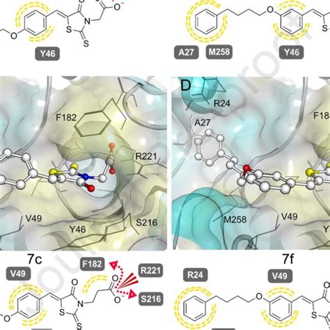 D And D Depictions Of C F C And F In The Ptp B Catalytic