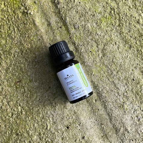 Edible Holy Basile Essential Oil