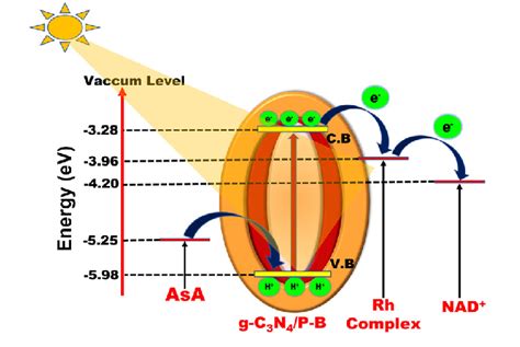 Schematic Representation Of Potential Energy Of The Photoinduced Charge