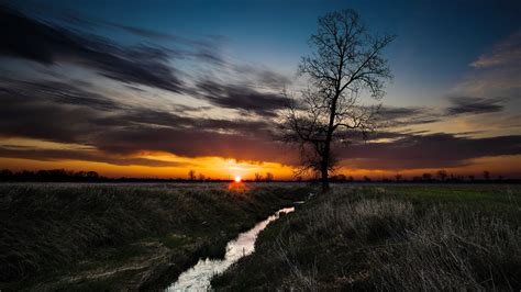 Fondos De Pantalla 1366x768 Amaneceres Y Atardeceres Herbazal Arroyo árboles Hierba Sol