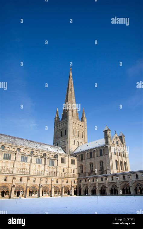 Gato de la catedral de norwich fotografías e imágenes de alta