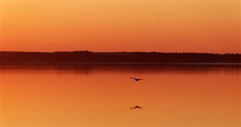 Endroits Magnifiques Visiter Dans Les Landes Ch Ri Fais Tes Valises