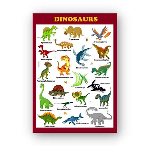 Laminated Types of Dinosaur, Dinosaur Names for Kids, Learners and ...