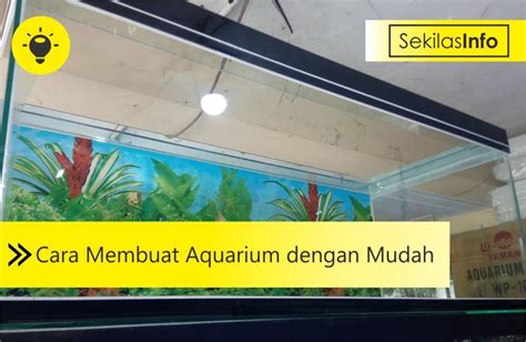 9 Cara Membuat Aquarium Dengan Mudah Sekilasinfo Net