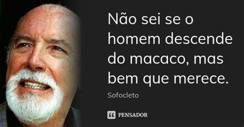 N O Sei Se O Homem Descende Do Macaco Sofocleto Pensador