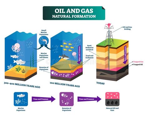 Formation Of Petroleum Animation