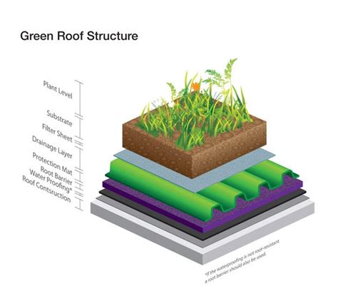 Green Roof Structure Green Roof Green Roof Design Green Roof Benefits