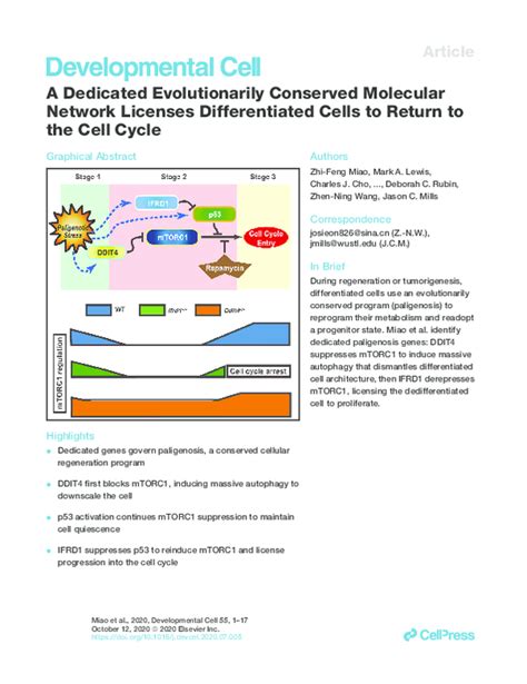 Pdf A Dedicated Evolutionarily Conserved Molecular Network Licenses Differentiated Cells To