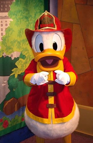 Donald Duck At Disney Character Central