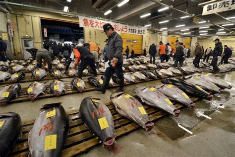 Foto Mengenal Tsukiji Pasar Ikan Di Jepang Yang Disebut Jokowi Mirip