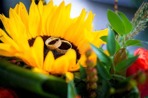 Wedding Rings On The Yellow Bride Bouquet Stock Photo Image Of Floral