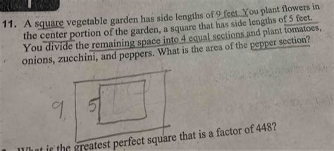 Solved A Square Vegetable Garden Has Side Lengths Of 9 Feet You Plant