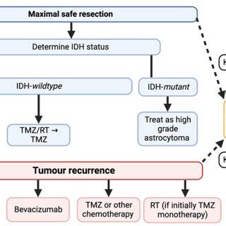 Current treatment pathway for glioblastoma multiforme. Adapted from ...