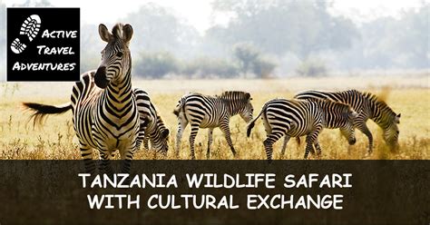 Tanzania Wildlife Safari with Cultural Exchange | Active Travel Adventures