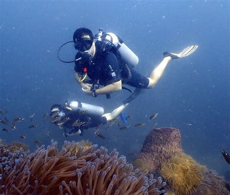 Ko Tao Dive Resort Koh Tao All You Need To Know Before You Go