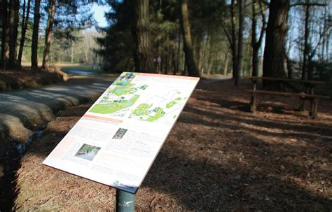 Rennes Un Homme De Ans Poignard Mort Dans Un Parc