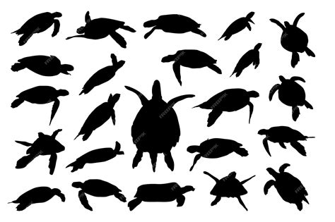 Set Of Different Turtle Silhouette On White Background Sea Turtle