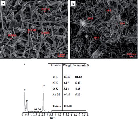 Fesem Images Of A Cnts And B Cnt En Aunp And The Respective Eds