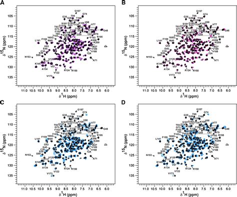 Conjugated Bile Acids Binding To Stard5 Overlain Of 1 H 15 N Hsqc