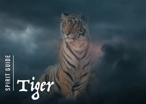 The Tiger Spirit Animal - A Complete Guide to Meaning and Symbolism.