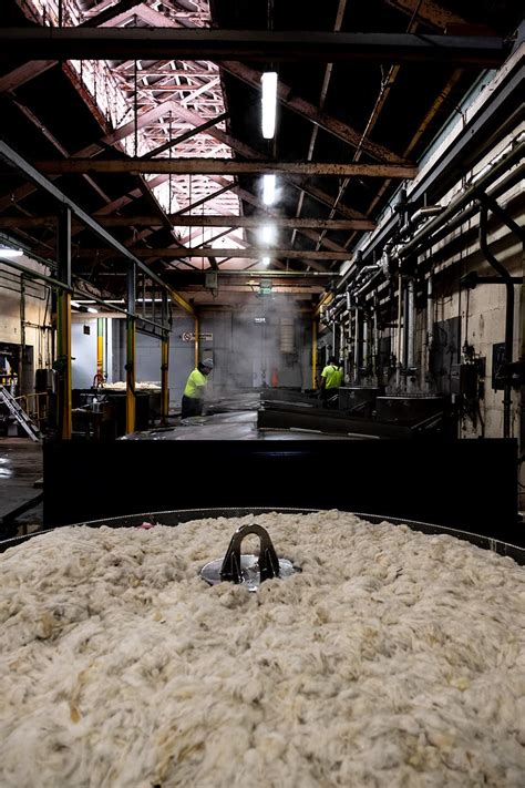 Giving Wool Waste A New Life