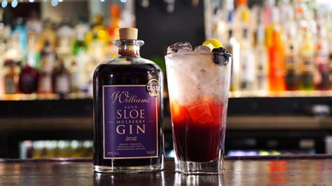 10 Best Sloe Gin Cocktails to Drink - MyBartender