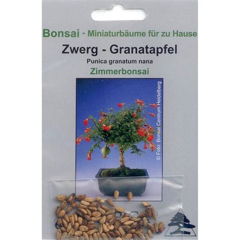 Bonsai Shopping Eu Zwerg Granatapfel