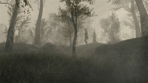 One of the best screenshots I've taken, I think : r/skyrim